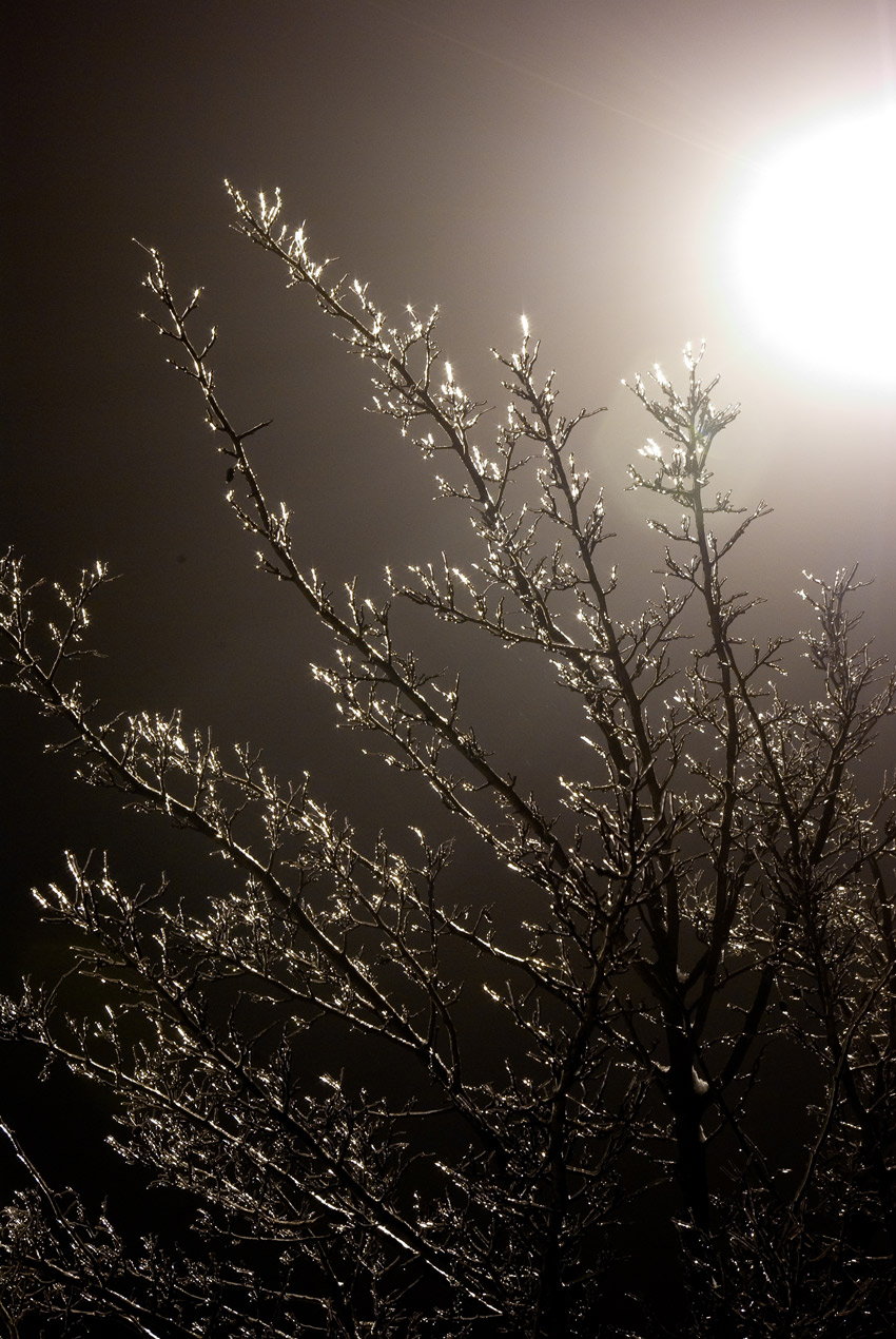IMGP6282-2w.jpg