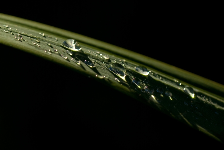 IMGP9744