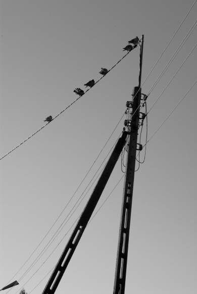 IMGP9753